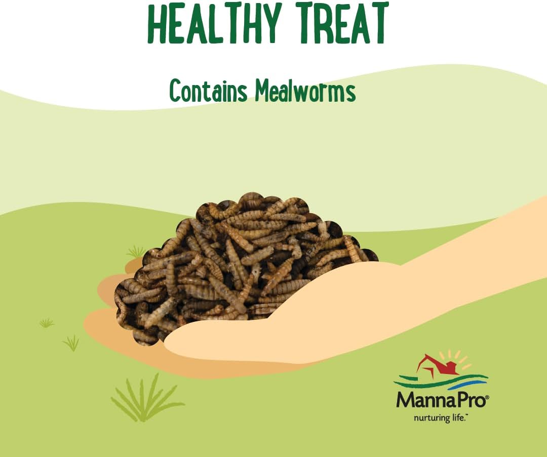 Manna Pro Farmhouse Favorites Mealworms Poultry Treat - Protein Treat for Chicken - Poultry, Turkey, Ducks, Geese, and Guinea Fowl Treat - Contains 50% Protein - 100% Natural Poultry Snack - 2lbs