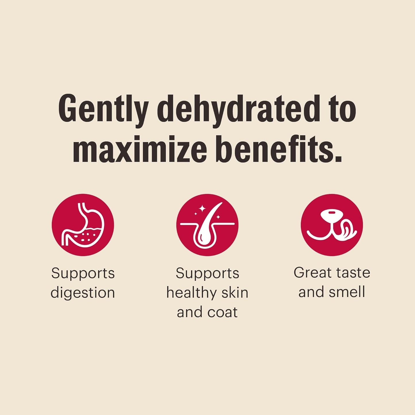 The Honest Kitchen Dehydrated Grain Free Fruit & Veggie Base Mix Dog Food (Just Add Protein), 3 lb Box