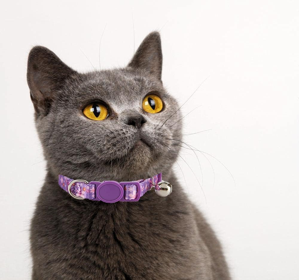 2 Pack Floral Cat Collars Breakaway Kitten Collar with Bell Adjustable Cute Kitty Collar for Female Cats Pink Purple