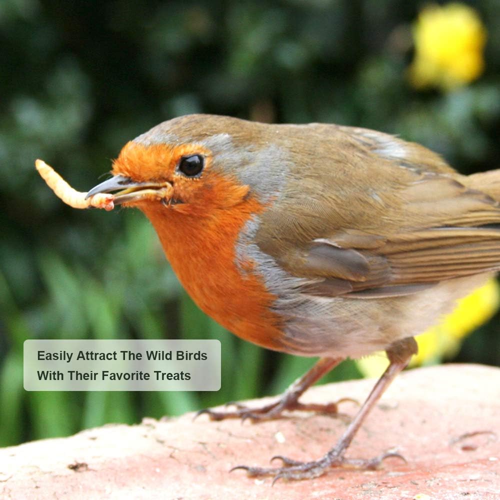 Bulk Dried Mealworms, High-Protein Dried Mealworms 44Lbs, 100% Non-GMO Mealworm Treats for Birds, Chickens, Turtles, Fish, Hamsters and Hedgehogs All Natural Animal Feed