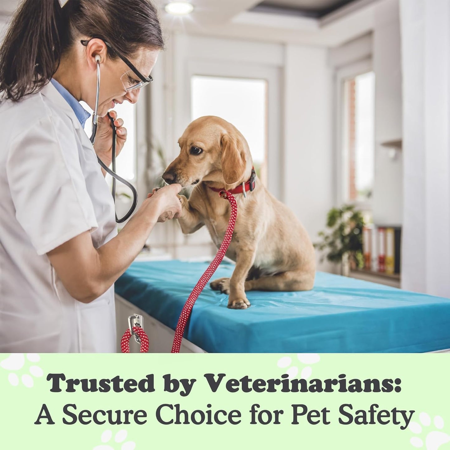 Canine Hitch- Secure Dog Leash Parking Mounted Indoor – Outdoor Wall Hook - Tie Out Stainless Steel Practical Lead Management for Home & Business, Standard Size 2 Pack