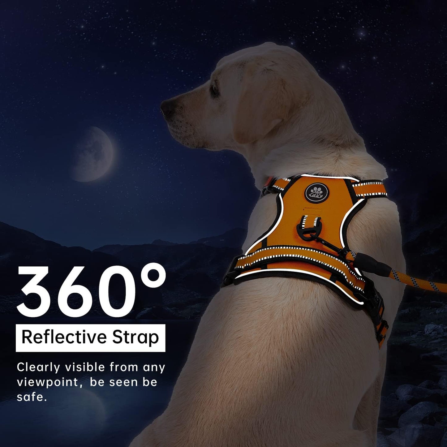 IVY&LANE No Pull Dog Harness for Large Dogs, Dog Vest Harness with Leash, Safety Belt and Storage Strap, Fully Adjustable Harness, 360° Reflective Strip, Soft Handle (Orange,X-Large)
