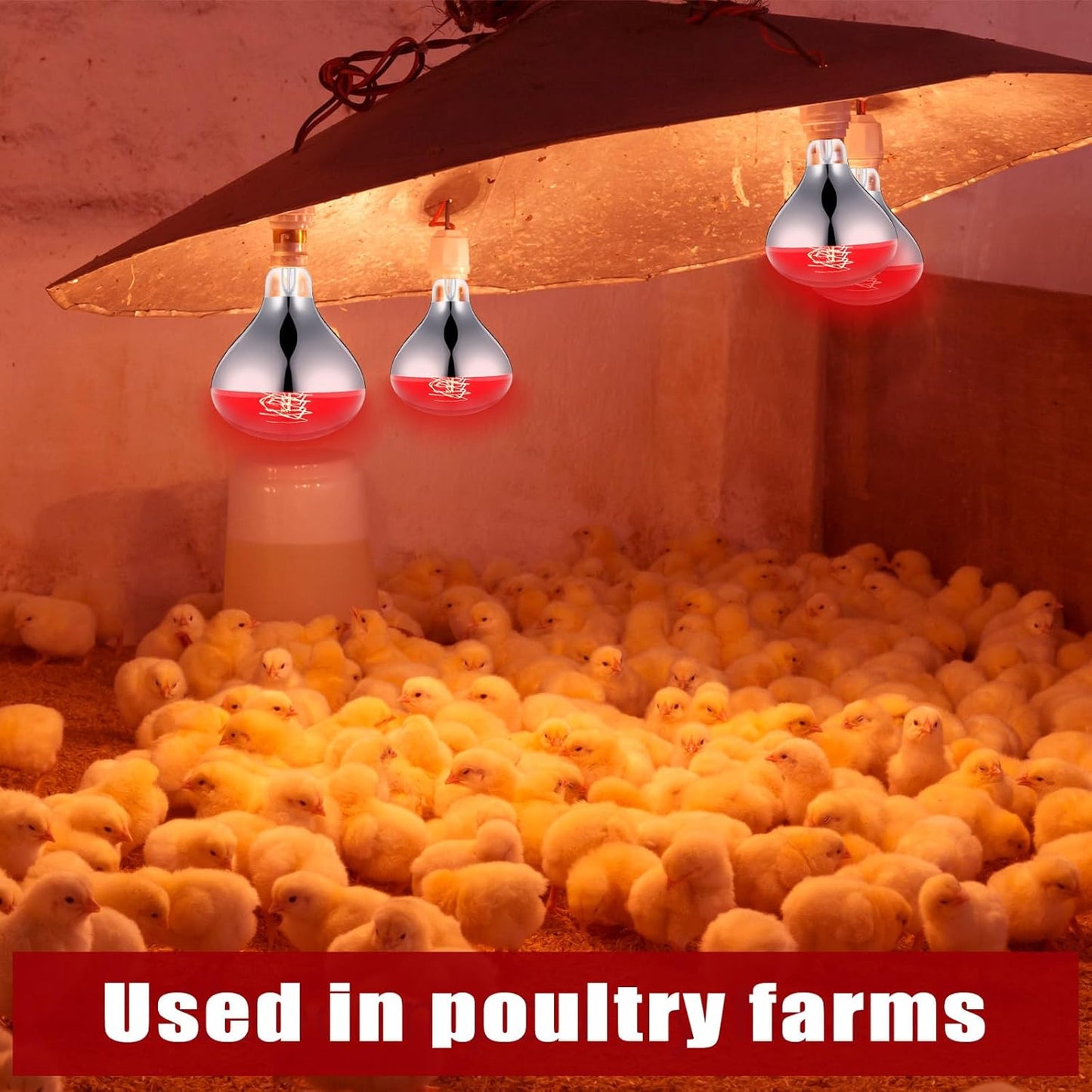 VIHOSE 3 Pack 250 Watt Heat Lamp 120v R40 Heat Lamp Bulbs Glass Incandescent Light Bulbs Incandescent Heating Lightbulbs for Reptiles Chicks Food Puppies Bathroom, Use E26 Base (Red)