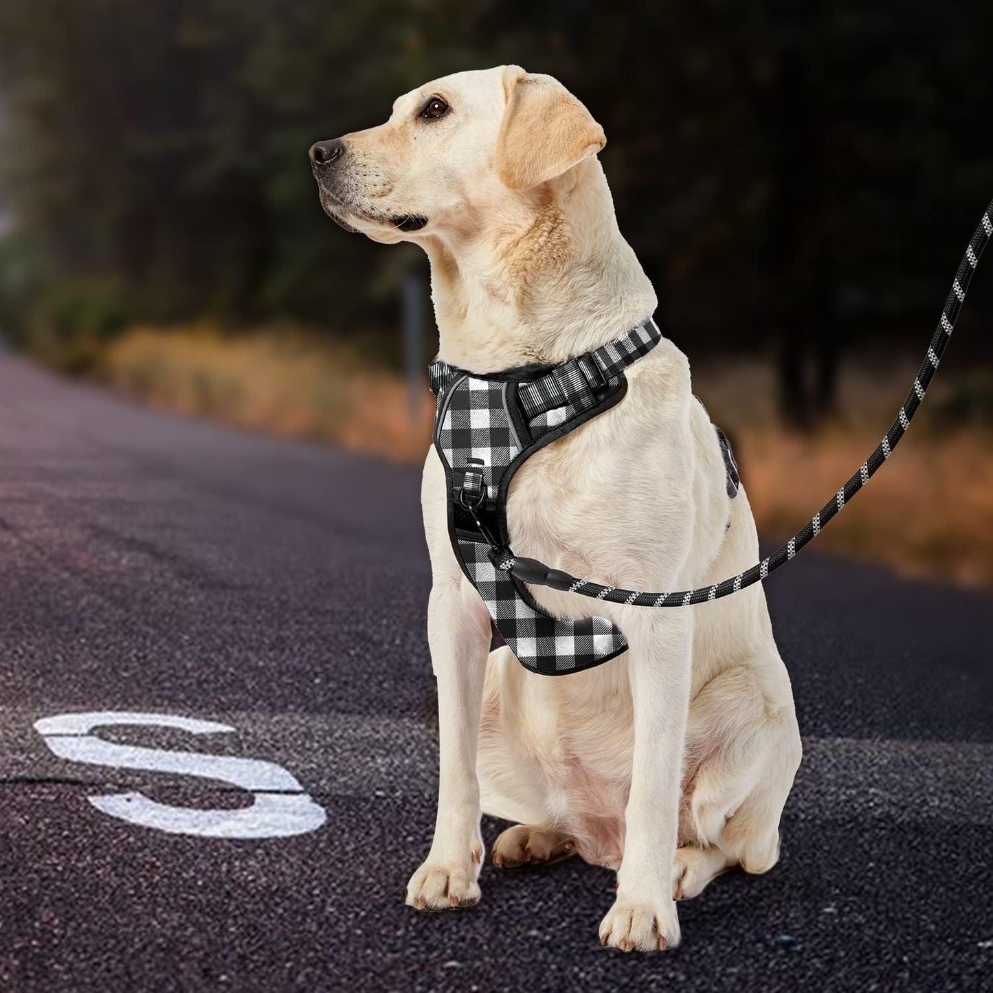IVY&LANE No Pull Dog Harness with Leash Set, Reflective No Choke Pet Vest,Adjustable Oxford Dog Vest Harness with Easy Control Handle for Large Dogs (Checkered Black,L)