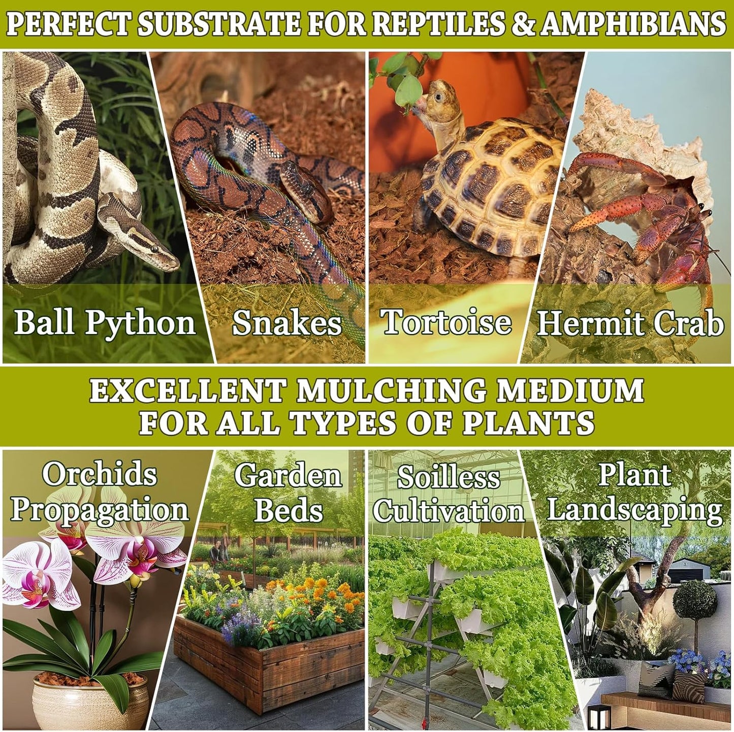 ZeeDix 10PCS Natural Coconut Chips Substrate for Reptiles, Coconut Fiber Husk Reptiles Bedding, Compressed Coco Chips Substrate for Ball Python, Snakes, Tortoise, Hermit Crab, Frogs, Lizard, Tarantula