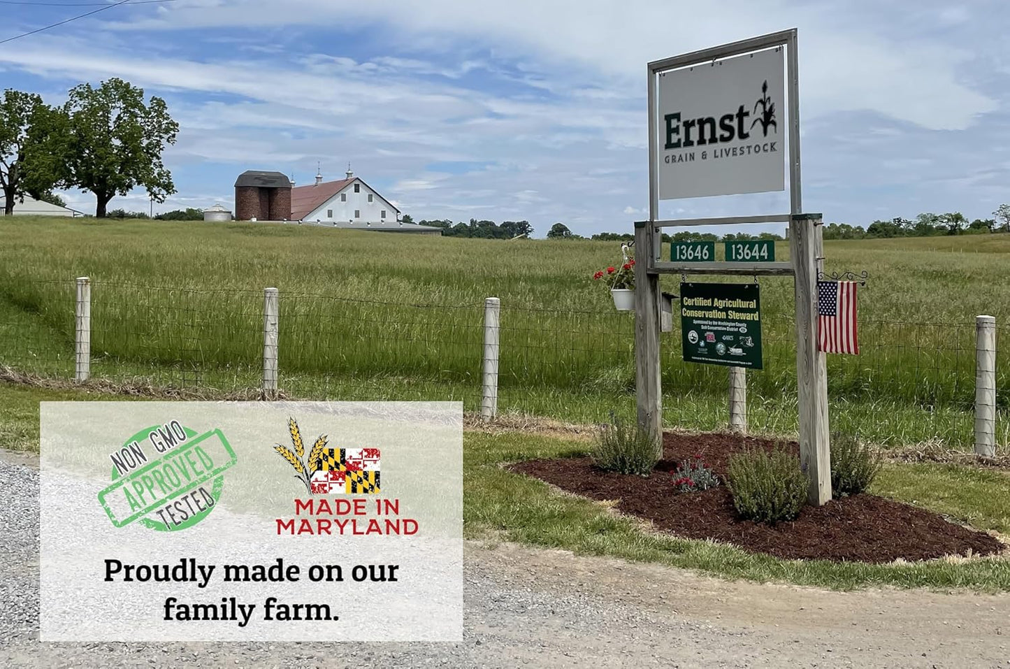 Non-GMO High-Protein Layer Blend 10 lb