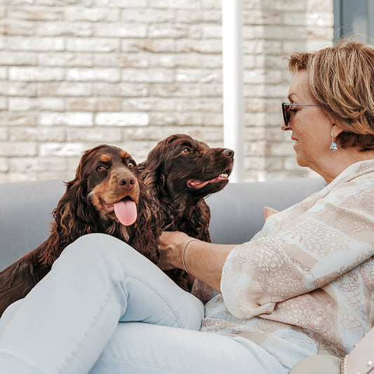 How to Choose the Right PUPPY HUG Products for Your Senior Dog