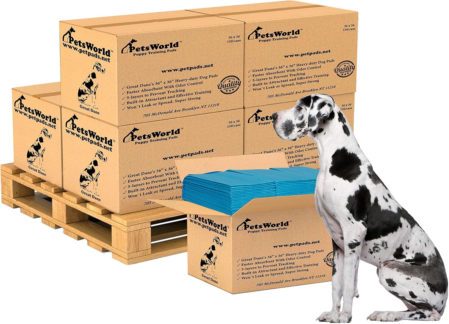 Litter & Housebreaking