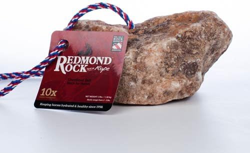 REDMOND - Rock on a Rope Unrefined Salt Rock for Horses 3 to 5 lbs (3 Pack)