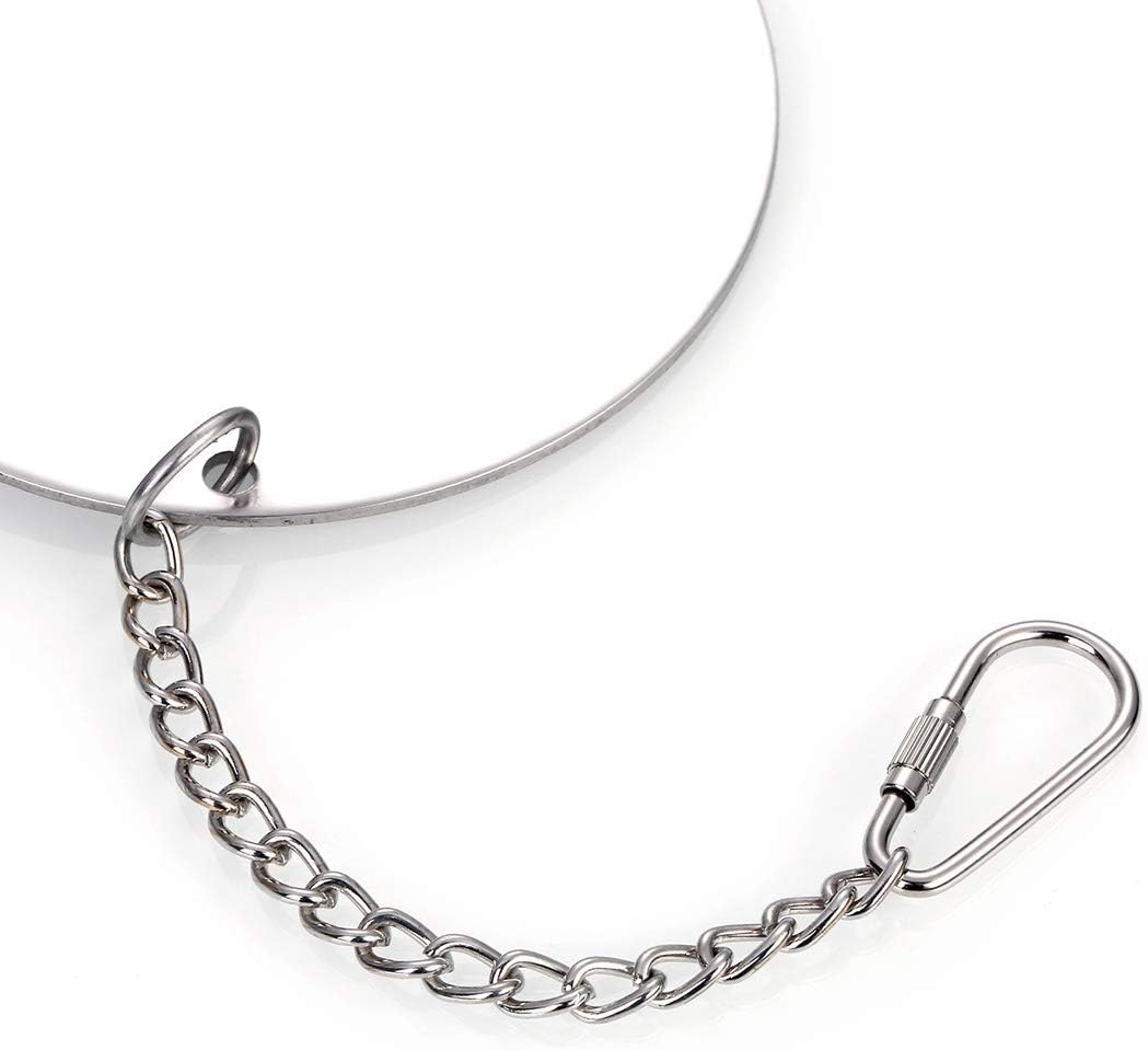 Hypeety Pet Bird Mirror Toy with Bells Hanging Toy for Parakeet Cockatiel Conure Lovebirds Finch Canary Cage Swing Fun Play Toy (Bird Mirror-1 Bell)