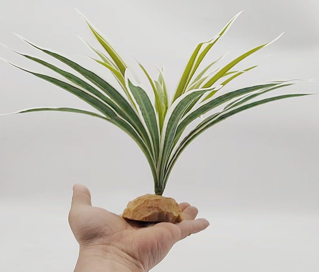 Reptile Terrarium Decor, Bearded Dragon Tank Accessories，Spider Plants for Crested Gecko Leopard Lizard Chameleon Ball Python Snake Frog