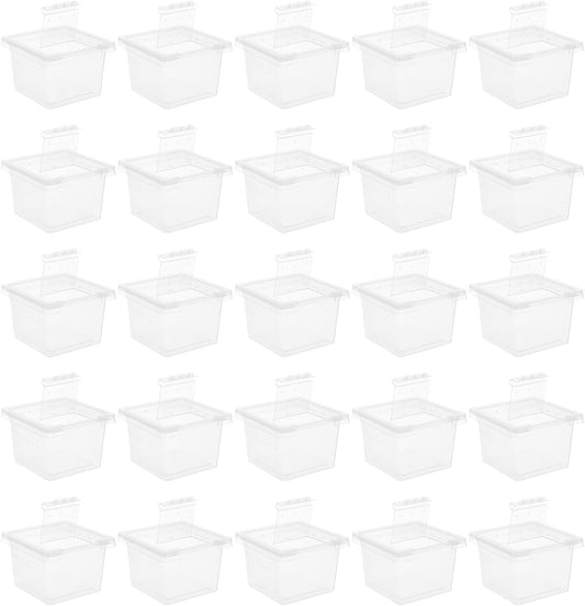 balacoo Reptile Feeding Box: 100Pcs Reptile Breeding Box Plastic Transparent Feeding Enclosure Case Hatching Container with Lid for Spider Scorpion Gecko Snake Tortoise