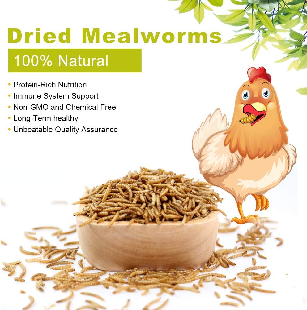 10lbs Mealworms, High-Protein Dried Mealworms for Birds, Chickens, Turtles, Fish, Hamsters and Hedgehogs, Non-GMO and Chemical Free, All Natural Animal Feed