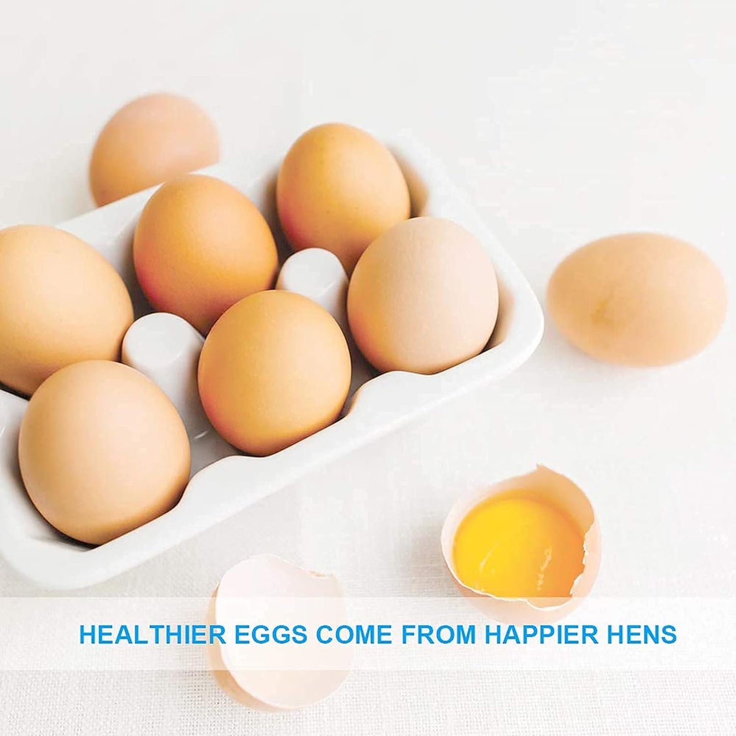 Mealworms, High-Protein Dried Mealworms for Birds, Chickens, Turtles, Fish, Hamsters and Hedgehogs, Non-GMO and Chemical Free, All Natural Animal Feed (10oz)