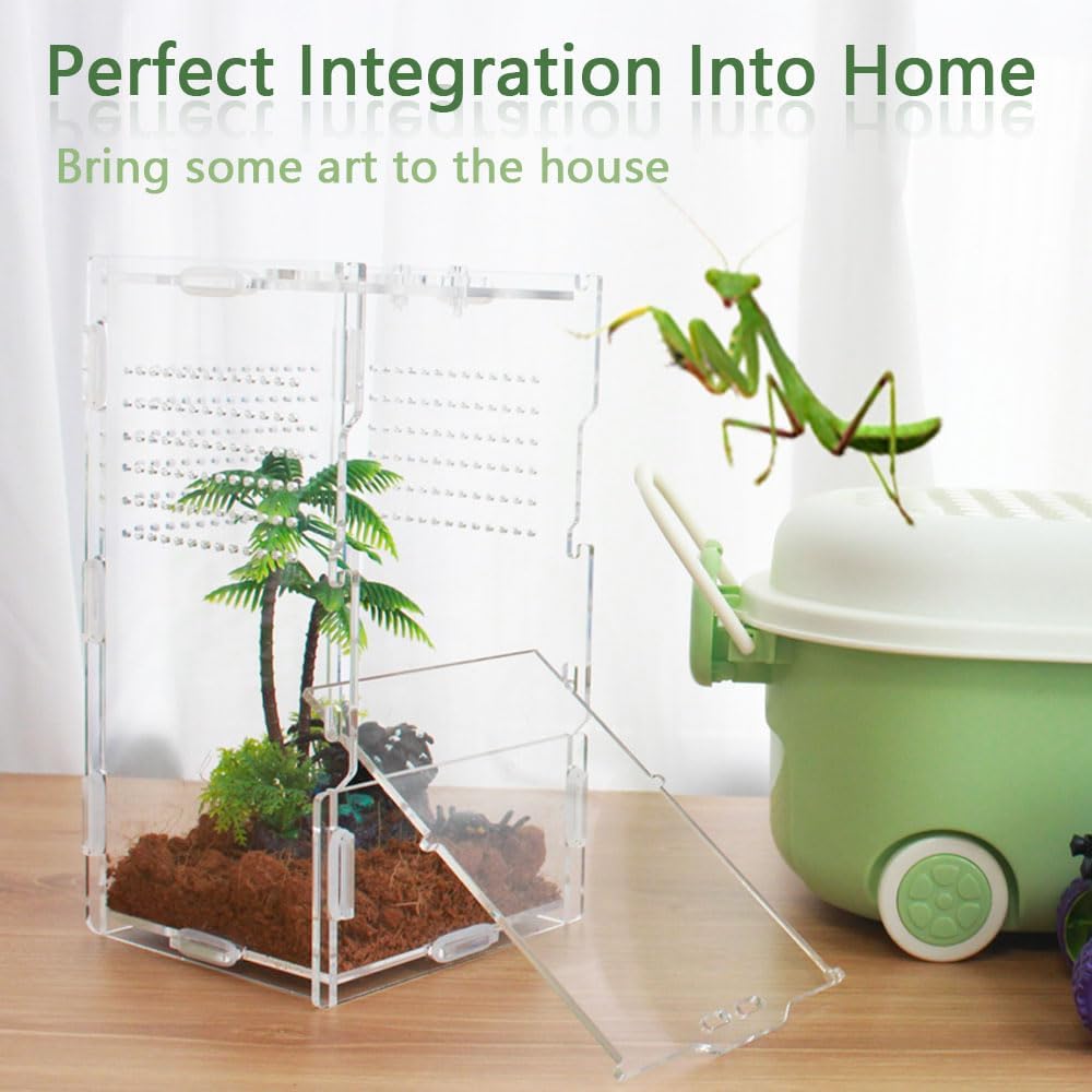 8x4x4 Inch Modern Rectangular Acrylic & Polycarbonate Vivarium for Tarantulas, Lizards, Snakes, Geckos, Jumping Spiders, Snails, Insects