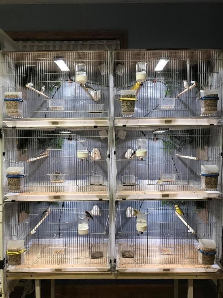 HappyBird Lightning (A Divison of M&M Cage) 18" LED linkable Light bar Without Power Source for Multiple Bird Breeder Cages, Full Spectrum LED. Will NOT Run ON ITS OWN (Single)