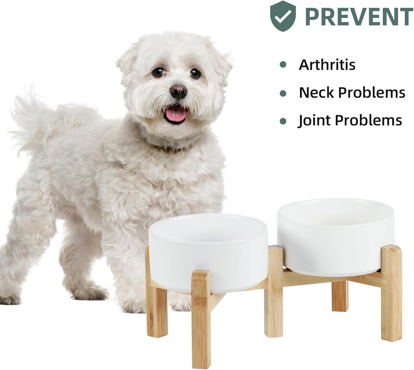 Ceramic Raised Double Bowls Set with Stand, 2 Heights Elevated, Food & Water Bowls for Small Breed Dogs, Weighted Dog Dishes, Pet Bowl(6.1'',28.7oz, White)