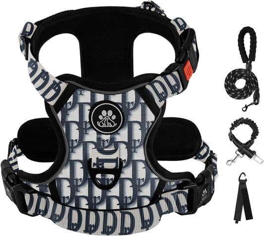 IVY&LANE No Pull Dog Harness with Leash Set, Reflective No Choke Pet Vest,Adjustable Oxford Dog Vest Harness with Easy Control Handle for Small Dogs (Vintage Blue,S)