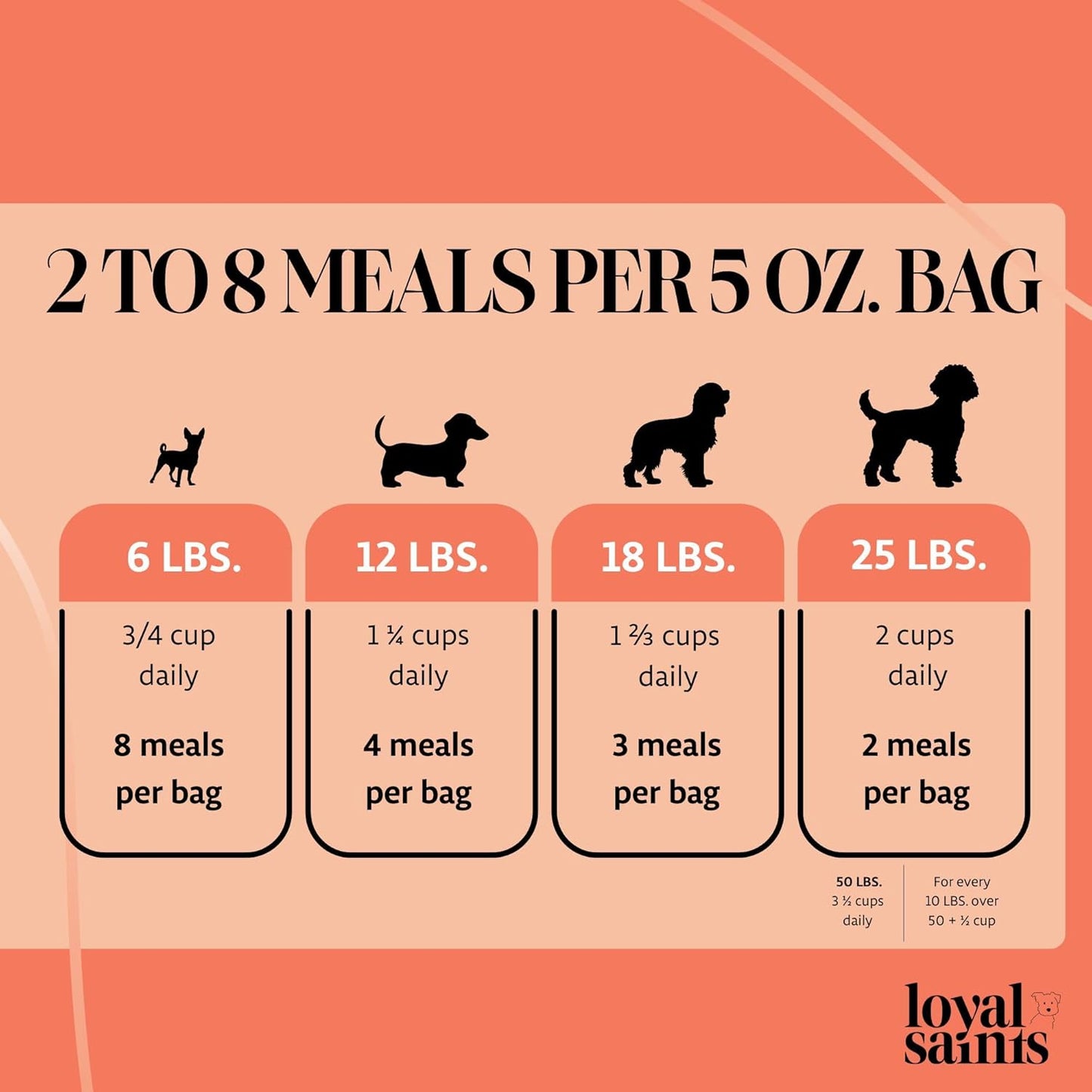 Freeze Dried Raw Dog Food - Premium Turkey and Salmon Flavor with High Protein and Grain Free Dog Food for All Breeds and Picky Eaters - Versatile as Meal Topper, Snack, and Treats, 14 Oz