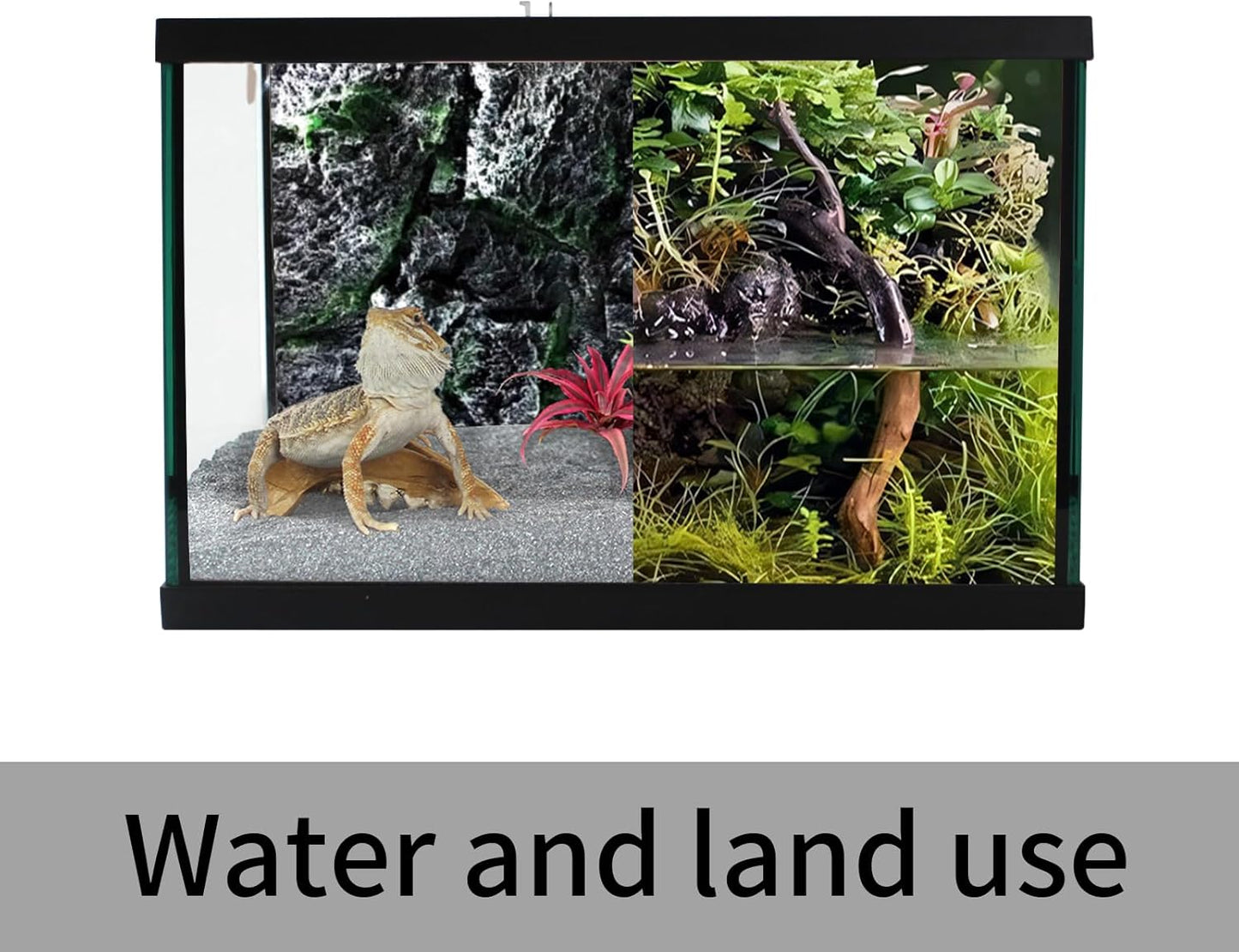 Reptile Glass Terrarium Tank 12 * 12 * 8" Full View with Top Ventilation, Amphibians Box Habitat Enclosure Cage for Frog,Spiders,Dubia Cockroach,Praying Mantis,Cricket,Tarantula,Hermit Crab