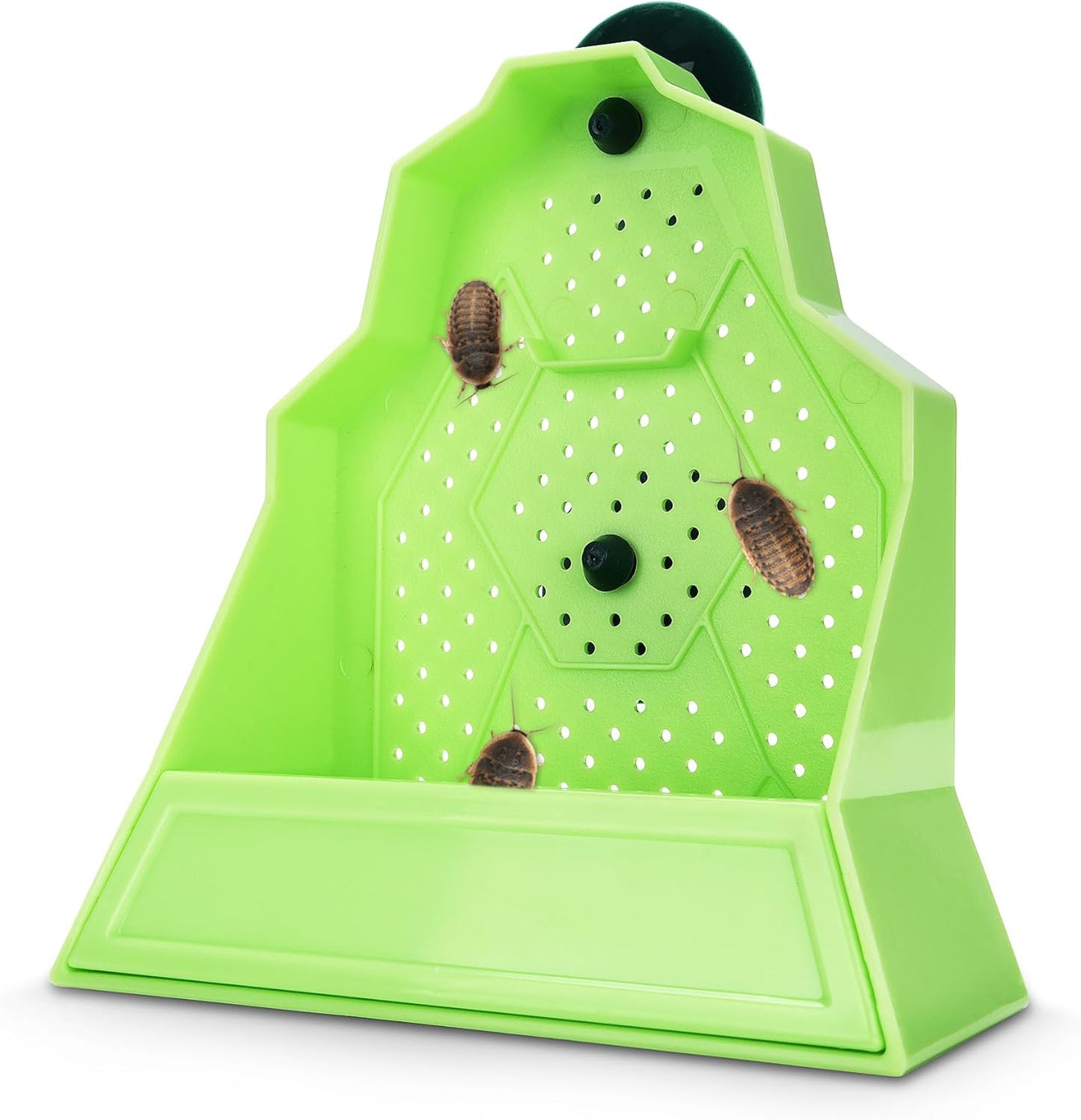 Reptile Anti-Escape Feeding Bowl, Wall-Mounted Feeder for Reptile, Stimulate Hunting Accessories for Terrarium, Vivarium and Paludarium, Suitable for Lizard, Gecko & Frog, Small