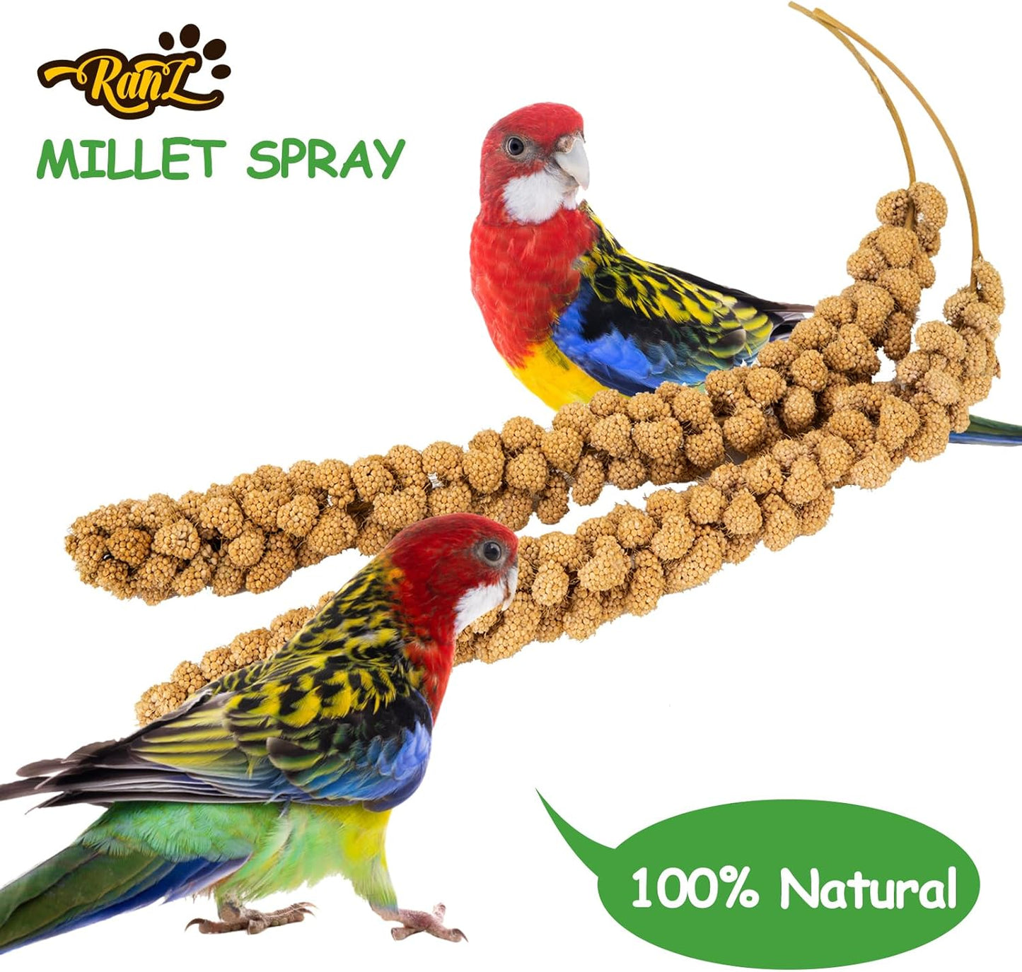 RANZ 5LBS Millet Spray for Birds, GMO-Free, Sun Dried Spray Millet, Original Bird Treats & Supplement for Parrots, Cockatiels, Lovebirds, Painted Buntings and Finches, Parakeets Food
