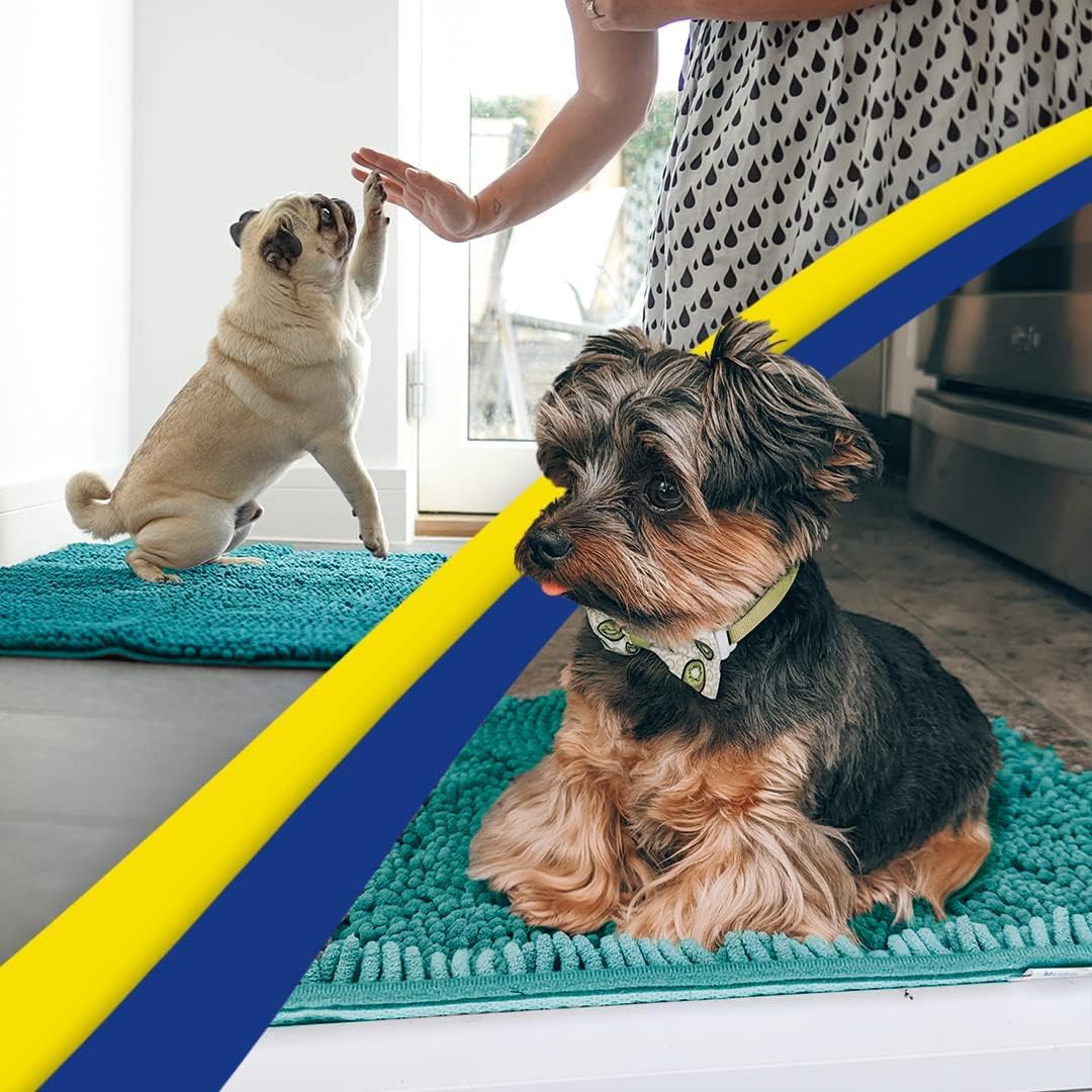 Muddy Mat® Original Dog Door Mat for Muddy Paws, Super Absorbent Microfiber, Non-Slip Washable Pet Rug, Quick Dry Chenille Entryway Carpet, Machine Washable Indoor Outdoor mat, Teal 19"x30"