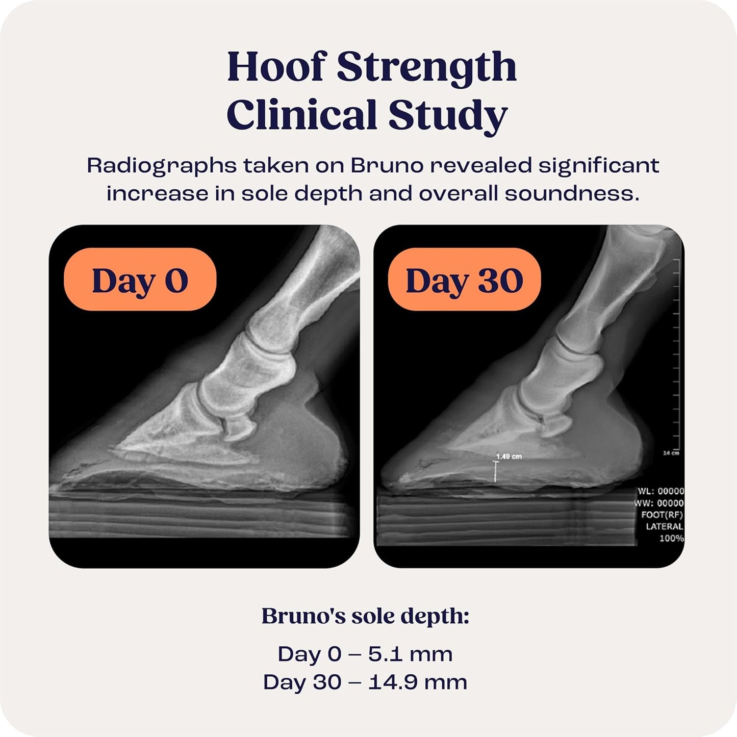 Summit Equine Hoof Strength Powder for Horses, Promotes Healthy Hooves with Biotin, Amino Acids, and Minerals, Horse Hoof Supplement,11 oz, 30-Day Supply