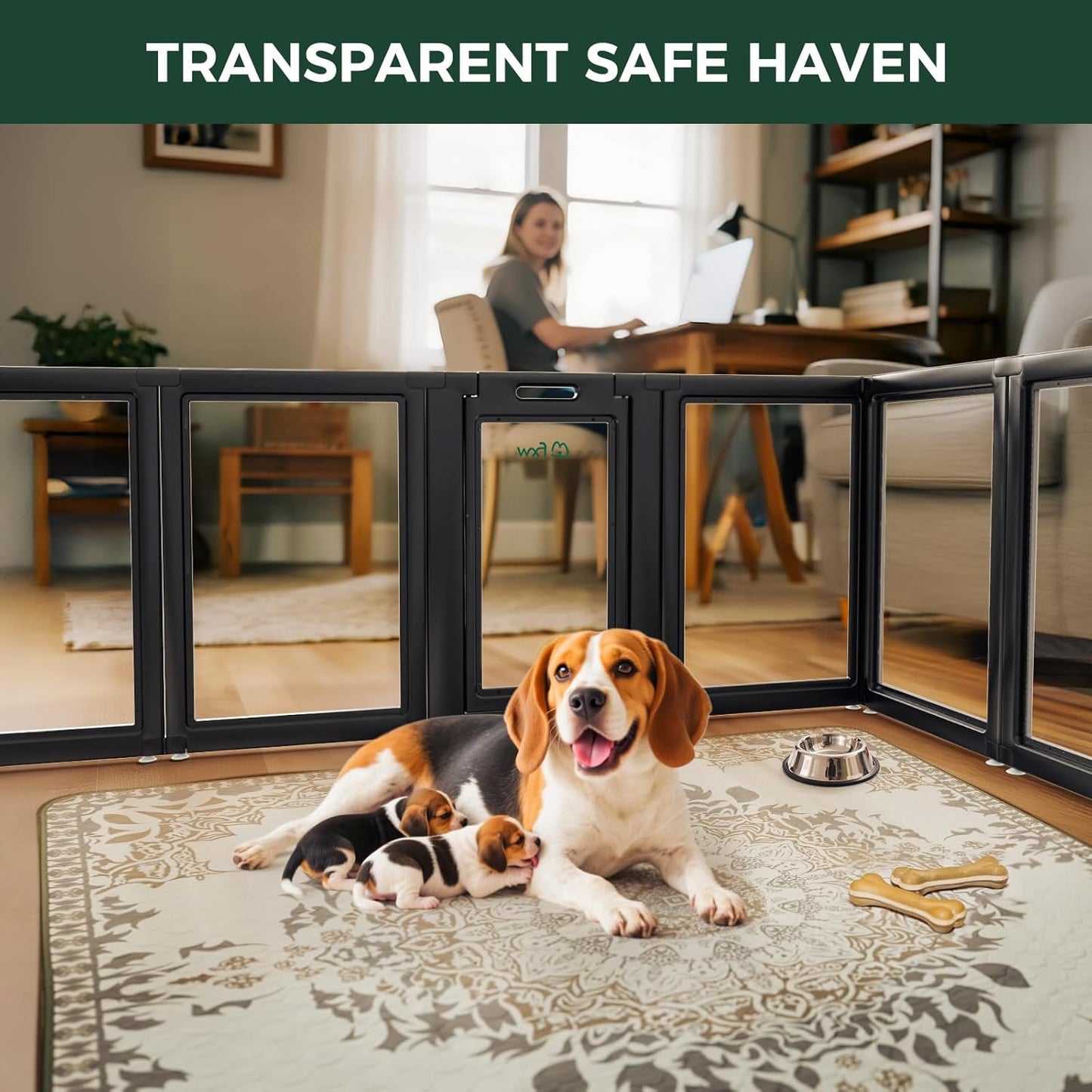 FXW AuraSpace Acrylic Indoor Unleashed Dog Playpen for Medium Dogs, 35 Inch, 6 Panels, Black