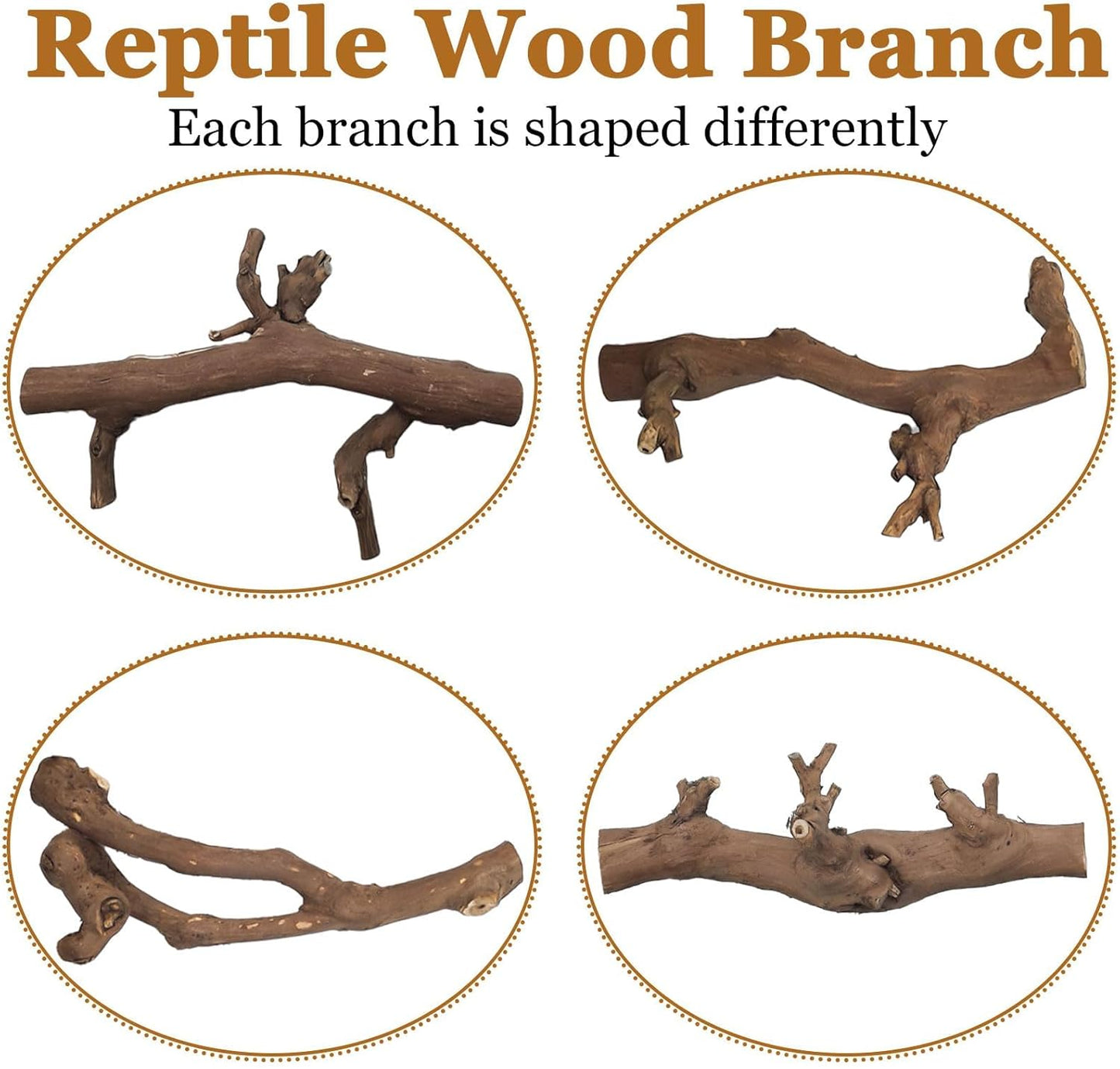 kathson 2PCS Snake Climbing Branch,Reptile Wood Branches Decor, Lizard Natural Wood Climb Accessories,Reptiles Habitat Tank Tree Trunk Decorations for Bearded Dragon Geckos Chameleons Frog