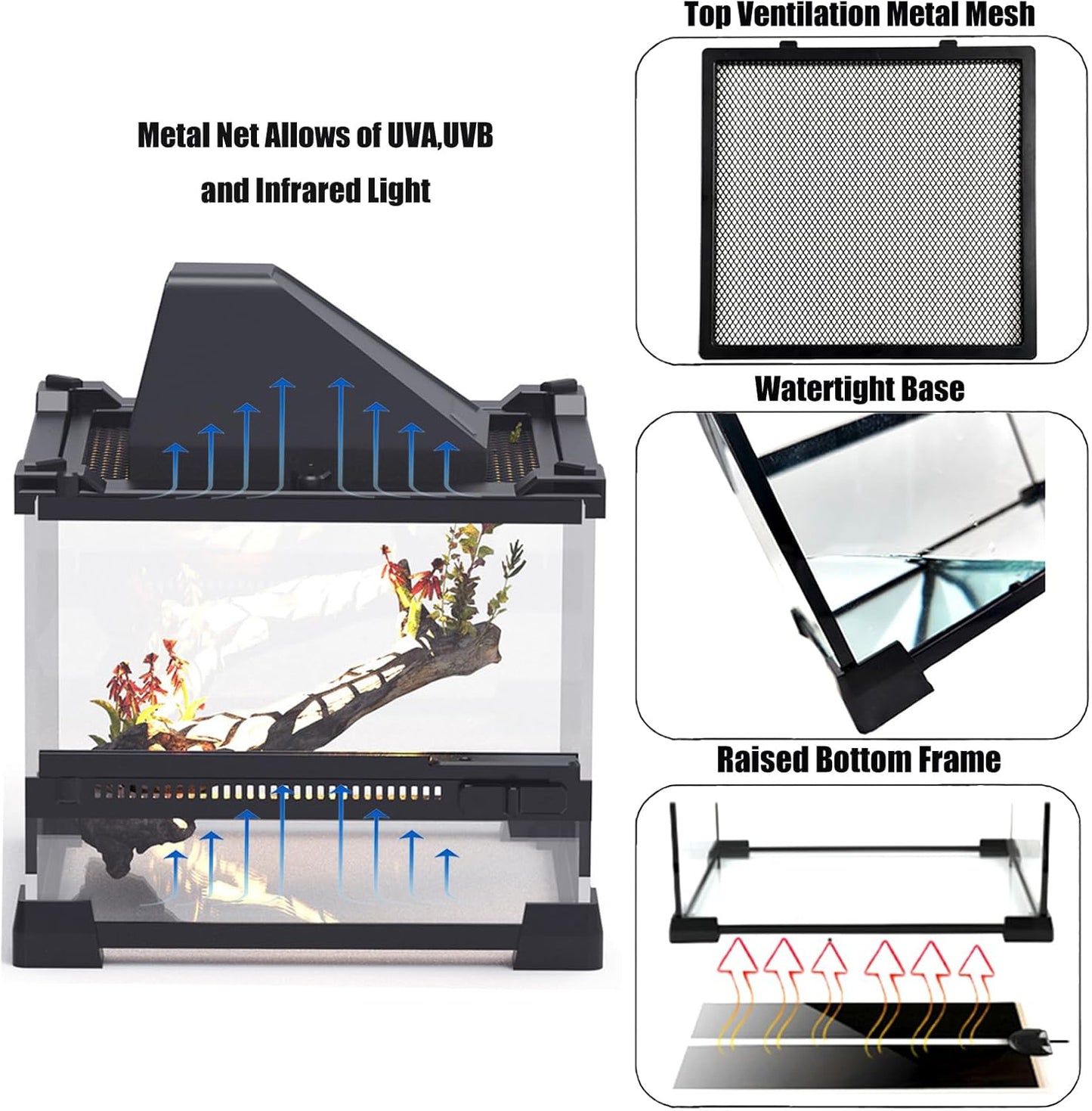 Woyrise Reptile Glass Terrarium Tank 8"x8"x5.7", Front & Top Opening Door Full View Visually Appealing Mini Reptiles or Amphibians Habitat, Stackable Enclousure for Small Reptiles