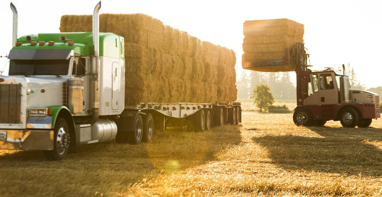 Blue Mountain Hay High-Altitude Hay - Organic Alfalfa, 5lb - High Protein, Fiber & Mineral-Rich - Soft, Leafy, High Leaf Retention - Ideal for Goats, Rabbits, Guinea Pigs & Other Small Animals