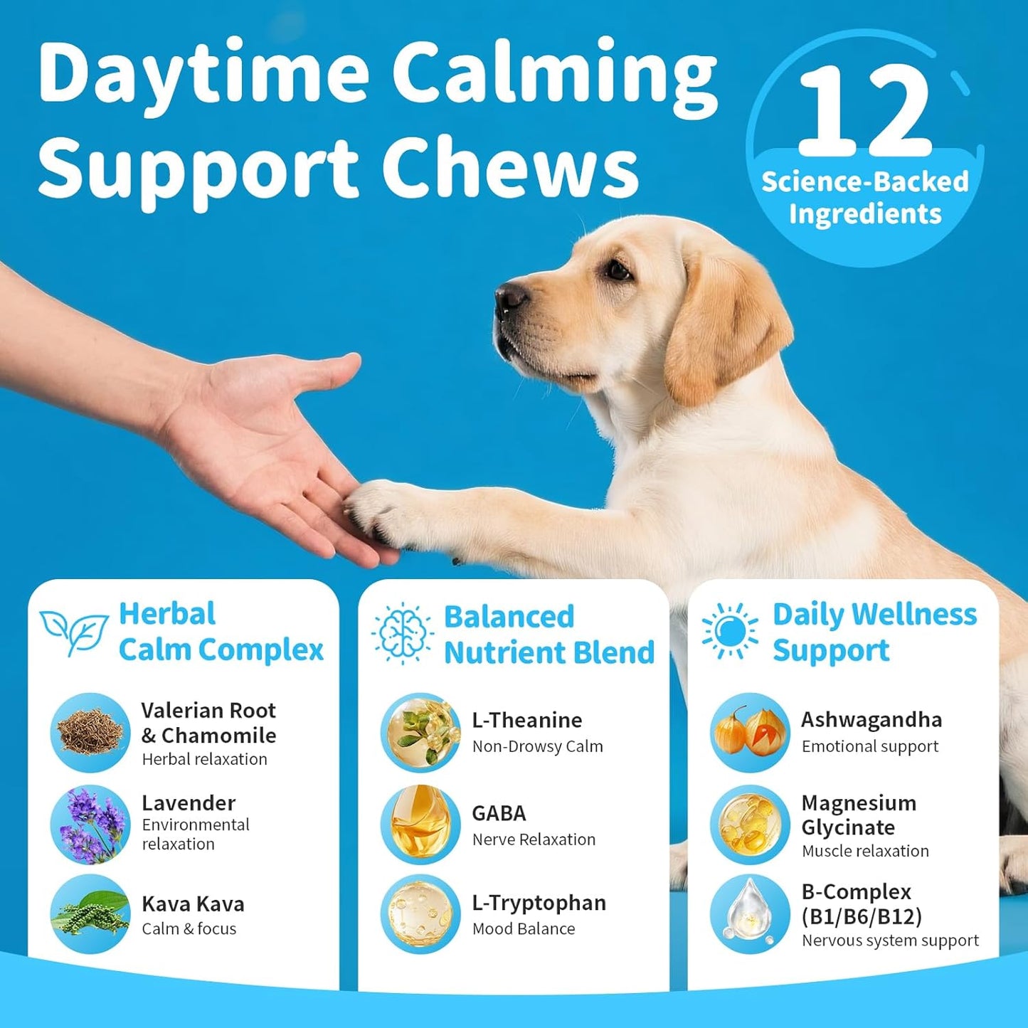 Calming Chews for Dogs – Calming Treats for Anxiety, Stress, Separation, Travel&Thunder, Relaxation & Focus Support with L-Theanine, Valerian Root, Chamomile & Ashwagandha, Bacon Flavor, 60Ct
