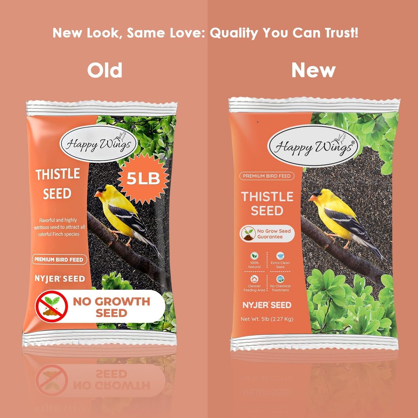 Nyjer/Thistle Seeds Wild Bird Food - 5 Pounds I No Grow Seed I Bird Seed for Wild Birds