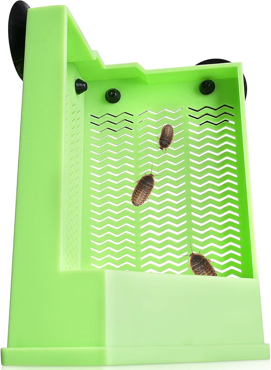 Reptile Corner Hunting Bowl - Glass Mount Insect Feeding Box for Reptile with Suction Cup which is Super Tight, Green, 6.29inch - M Size