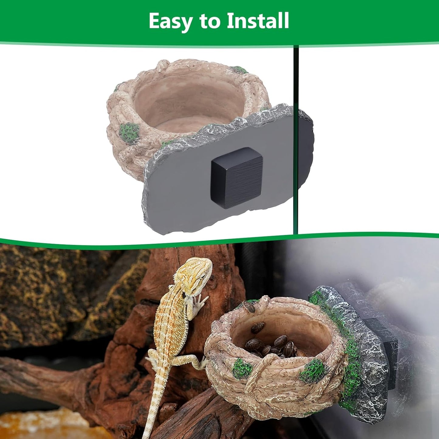 Magnetic Reptile Feeding Ledge, Gecko Feeder Ledge with One Piece Cup, Hollow Vine Food Dish, Reptile Water Bowl for Bearded Dragon Lizard Snake