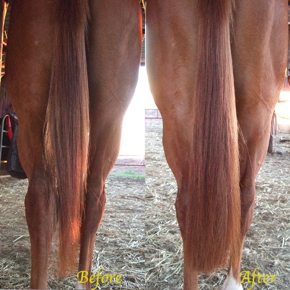 Horse Tail Extensions with Braided Horsehair Loop, Blunt Cut Bottom, 28-30 inches Long and 3/8 lb Weight
