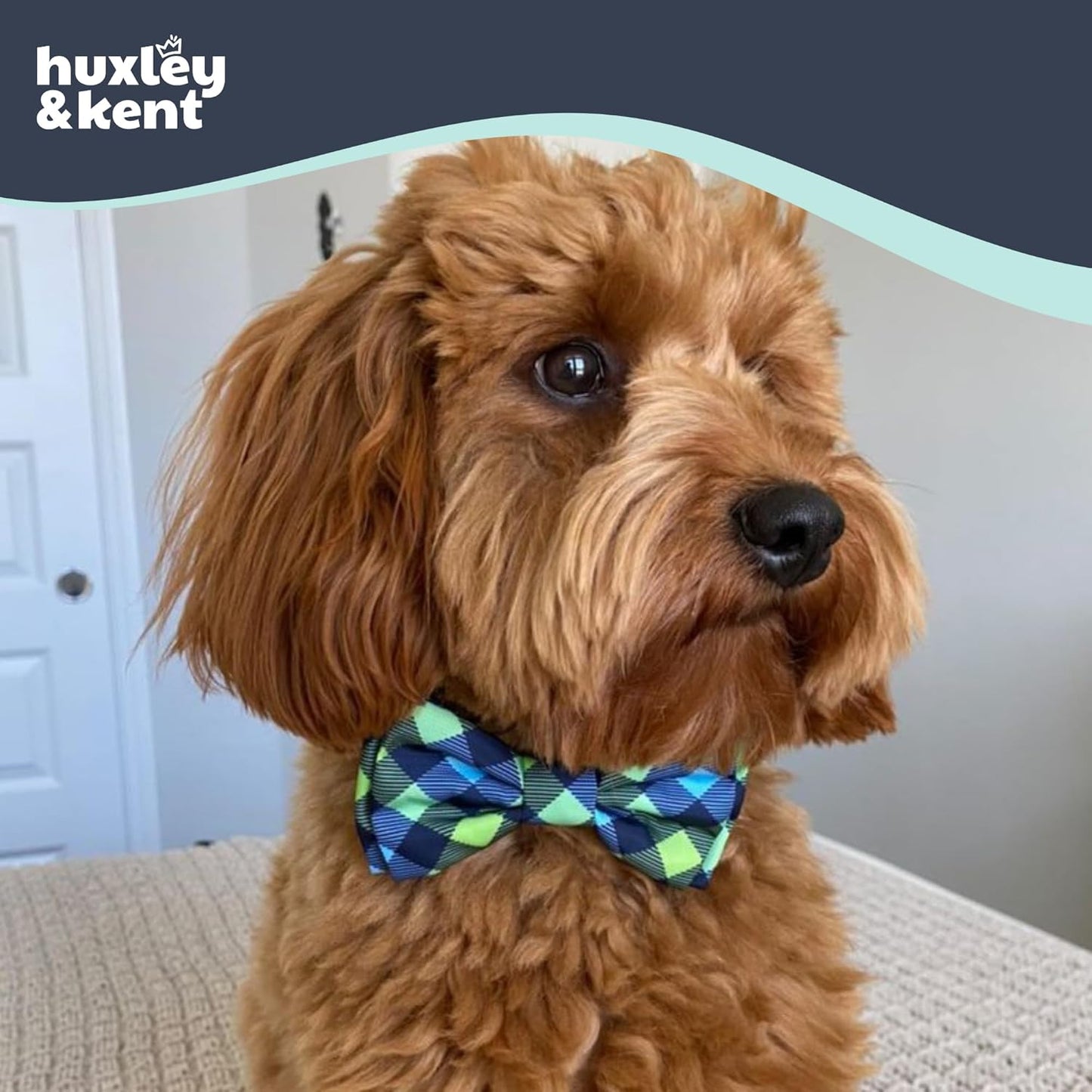 Huxley & Kent Pet Bow Tie for Dogs & Cats - Adjustable Hook & Loop Collar Accessory - Cute & Comfortable for Holidays & Celebrations - Navy Check, Extra-Large