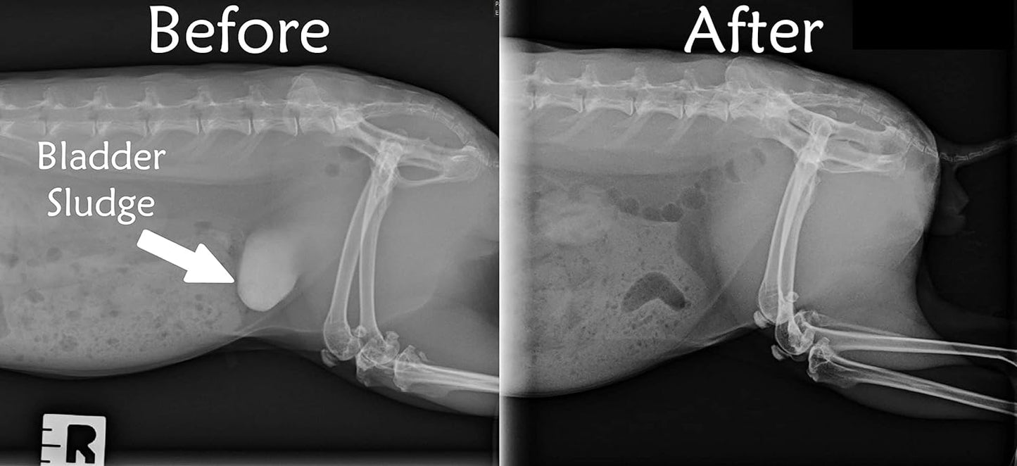 Urinary Support by Sherwood Pet Health (100 Tablets - 60 Grams)