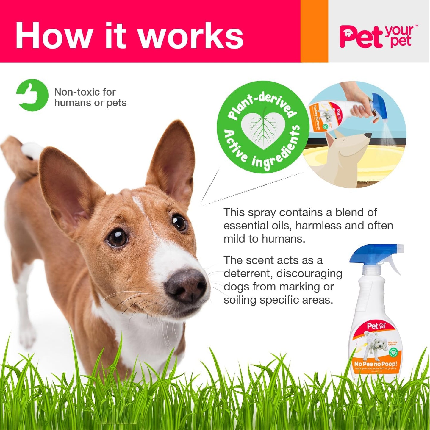No Pee No Poop Dog Potty Training Spray, 16 Fl Oz – Non-Toxic Dog Spray to Prevent Peeing and Pooping – Natural No Urine Marking Scent Corrector - No Here Stops Dogs Peeing Indoor/Outdoor