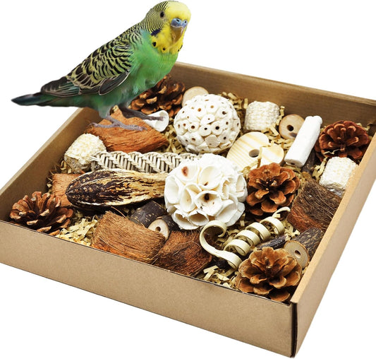 Natural Bird Foraging & Parrot Shredding Toys Box - Interactive Chewing and Foraging Toys for Parakeets, Cockatiels, Conures, Love Birds, and Small to Medium Birds