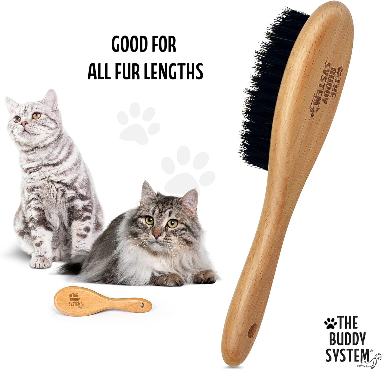 The Buddy System Cat Brush with Boar Bristle and Wooden Handle, Professional Grade Daily Grooming Hairbrush, Reduce Shedding, Soft Hair and Healthy Shine (1 Pack)