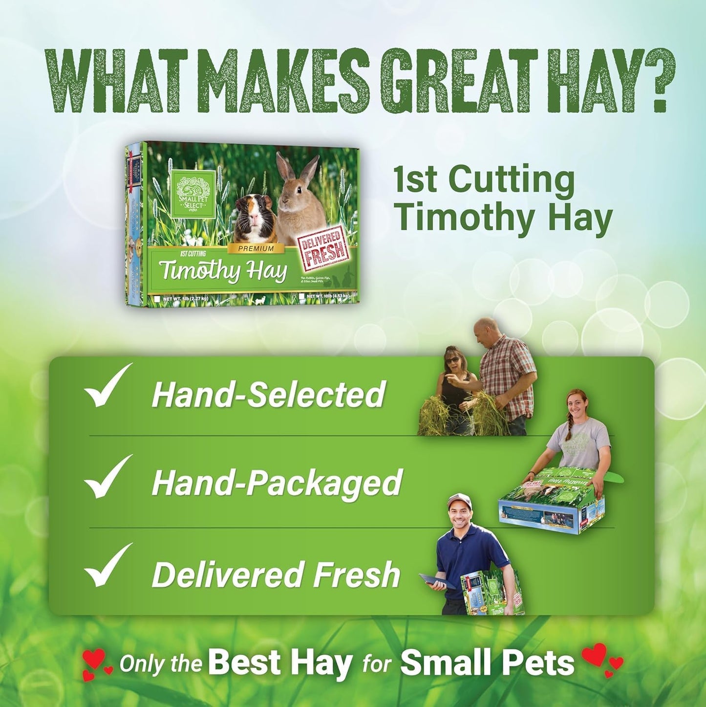 Small Pet Select 1st Cutting Timothy Hay, Animal Food for Guinea Pig, Rabbit, Hamster, Bunny, or Chinchilla, Natural Hay Grown in the USA, 5lb