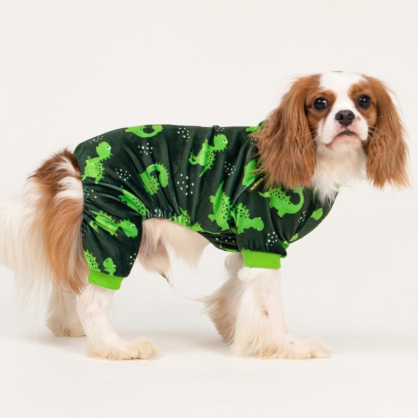 Fitwarm Dinosaur Dog Fleece Pajamas, Warm Clothes for Small Dogs Boy, Cozy Pet Onesie with Feet, Dark Green, Bright Green, Large