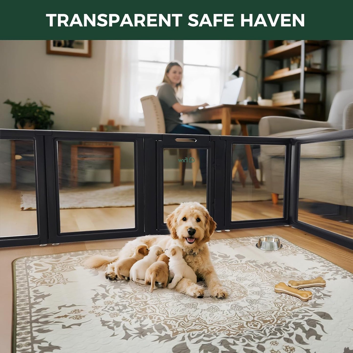 FXW AuraSpace Acrylic Indoor Unleashed Dog Playpen for Puppies and Small Dogs, 24 Inch, 6 Panels, Black