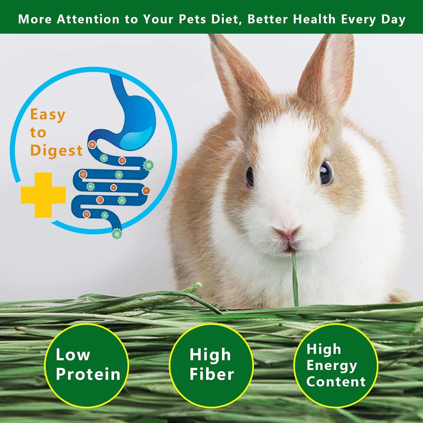 Timothy Hay Premium Hay for Rabbits Guinea Pig Chinchilla- Natural Fresh Hay Hand Selected 6.6LBS (1.1lbs, 6 Pack)