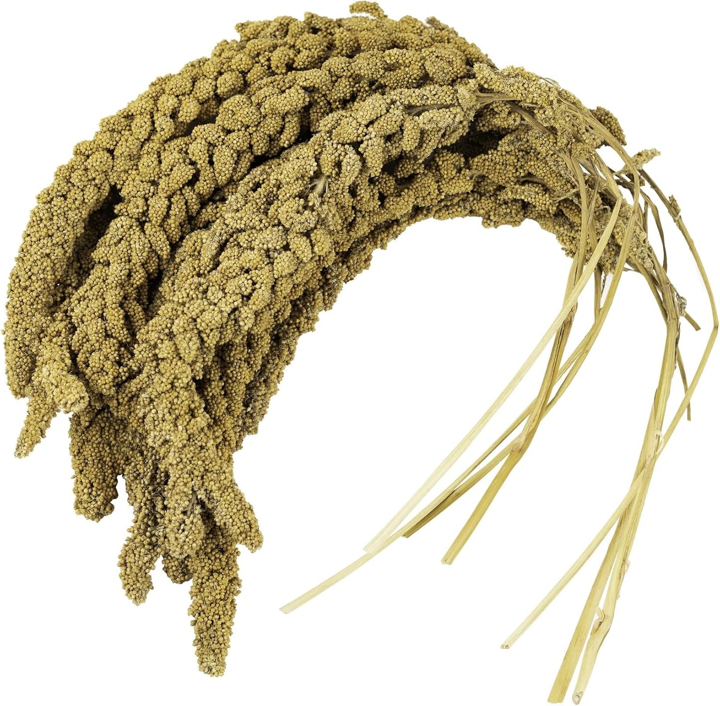 Birds LOVE French Kissed Spray Millet for Birds - Parakeets, Cockatiels, Lovebirds, Finches, Budgies, Canaries, Cockatoos - Natural & Healthy Bird Millet - Parakeet Food & Treats for All Parrots 2lbs