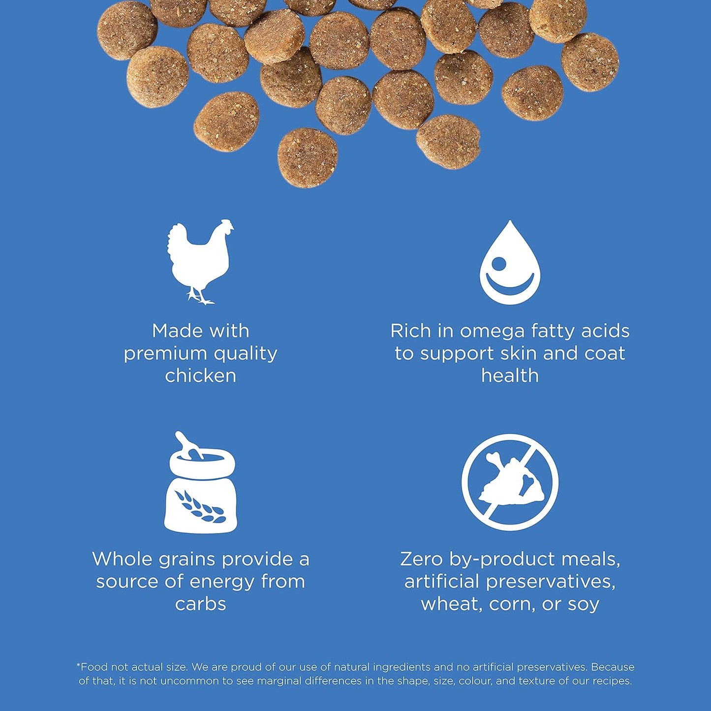 Go! Solutions Skin + Coat Care, Dry Dog Food, Chicken Recipe with Grains, 22 lb Bag