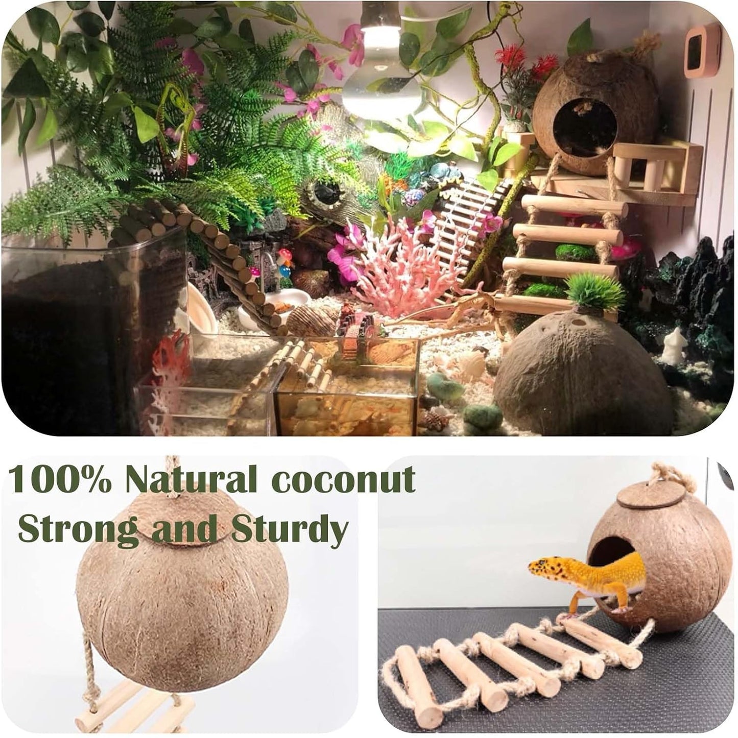 10PCS Crested Gecko Tank Accessories, Reptile Plants Bridge Vines, Coconut Shell with Ladder for Lizard, Chameleon Cage, Snakes, Hermit Crab, Leopard Gecko Tank Accessories, Terrarium Decor