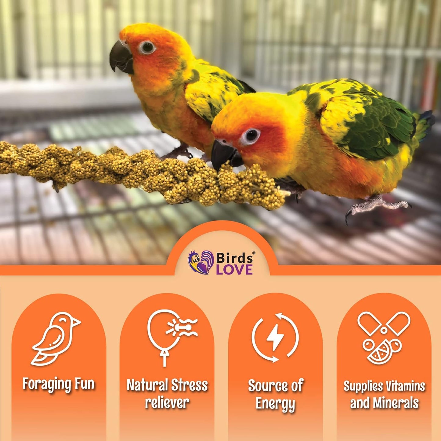 Birds LOVE Wholesome & Lovely Spray Millet Non-GMO (No Stems Only Edible Tops) for Parrots Birds Cockatiel Lovebird Parakeets Finch Canary All Parrots Healthy Treat - 5lbs